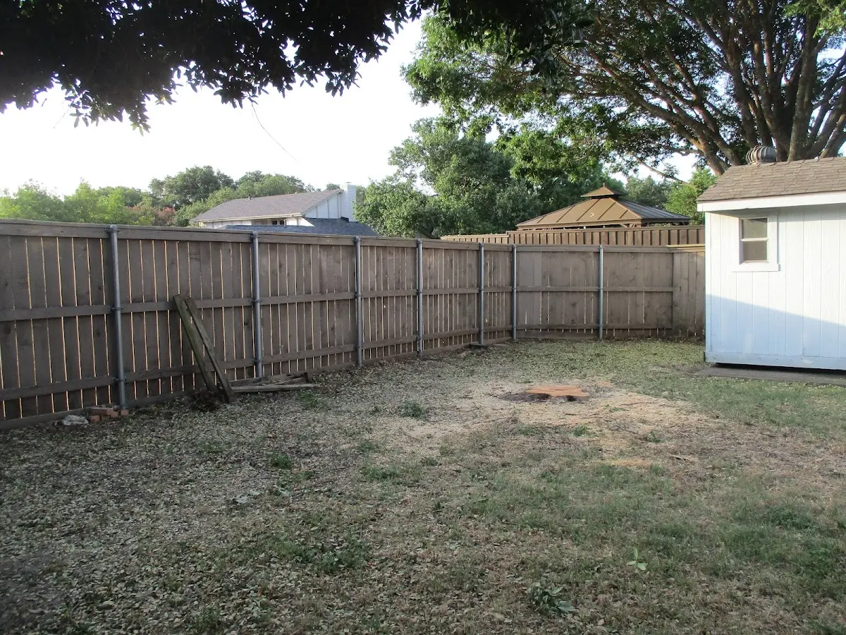 Cleared yard after professional tree removal in Lake George