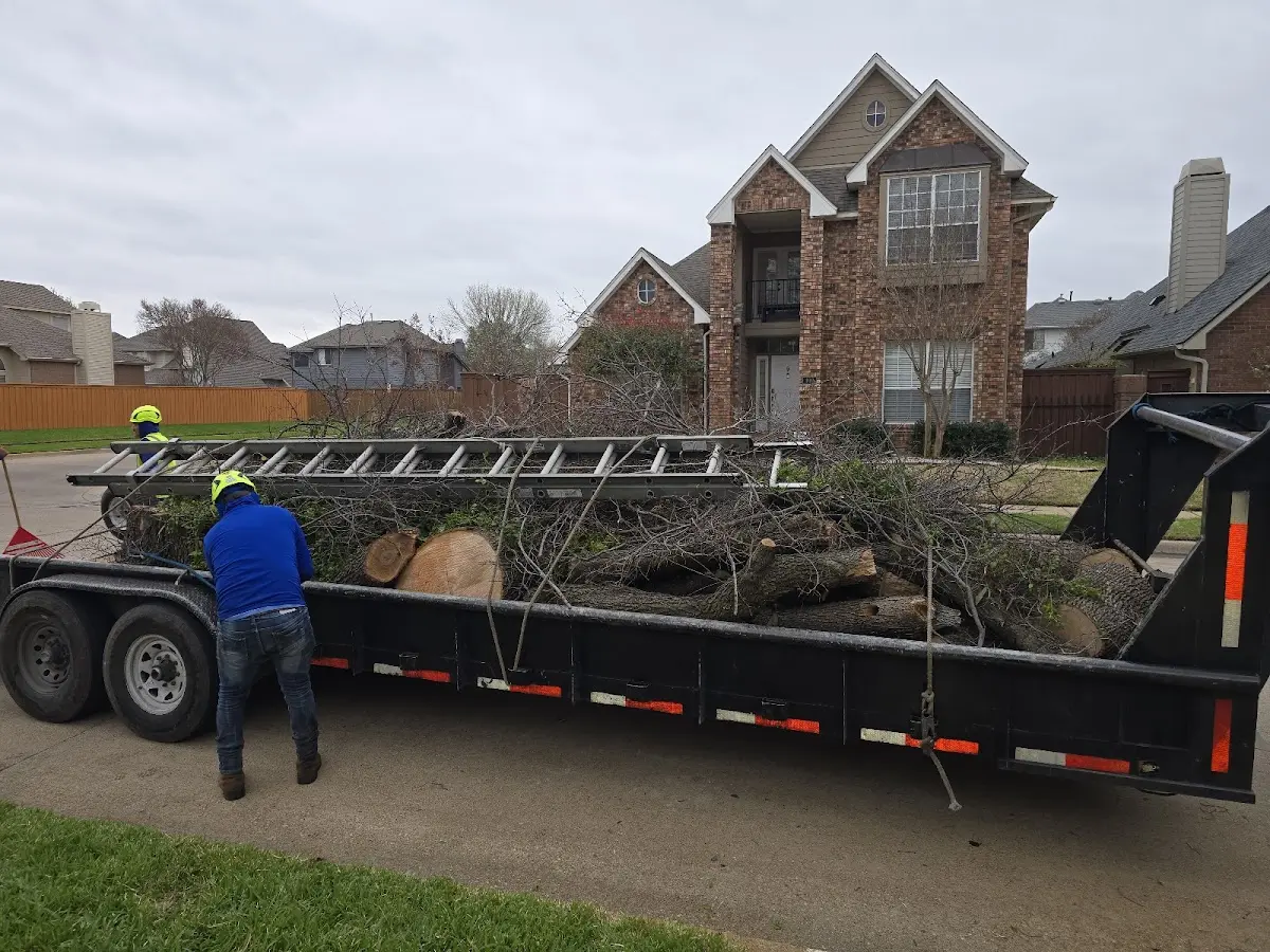 Expert Tree Removal with proper safety equipment in Lake George